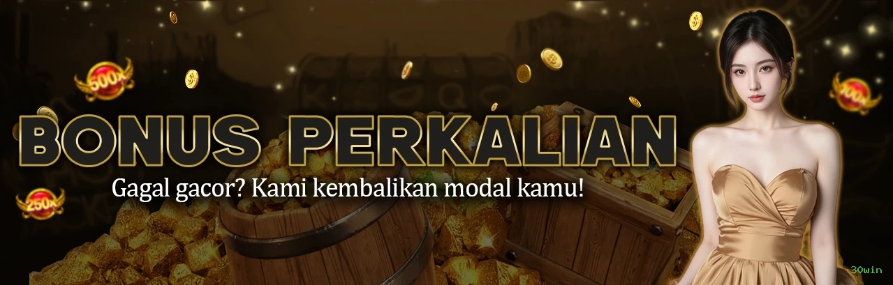 Casino VIP 30win